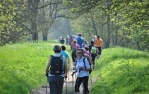 Marche Nordique   Dimanche 2 Octobre à Nitray