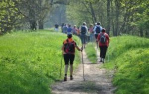 Marche Nordique  Samedi 15 Octobre à Amboise
