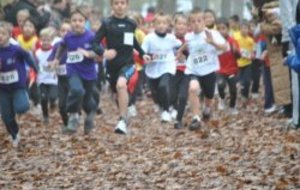 Cross de BLOIS le 11 Novembre