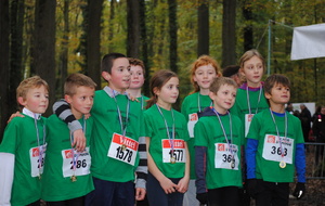 Blois Cross 11 11 2013