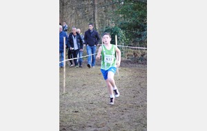 Château Renault  Départ. Cross 12 01 2014