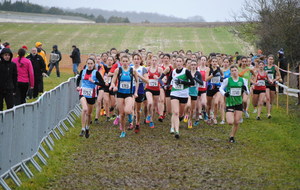 Roullet Saint Estéphe P F Cross 09 02 2014
