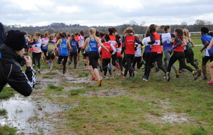 Inter comités de cross 27 02 2016