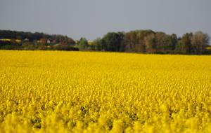 Saintes Intercomités BM 09 04 2016