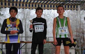 Château Renault Cross 18 12 2016