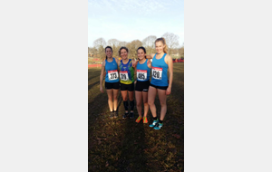 Weekend 17-18 12 2016