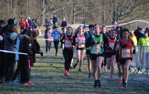 Orléans Rég. Cross 22 01 2017 dans les Médias