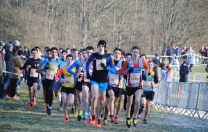 Les Recettes pour un bilan Cross 2017