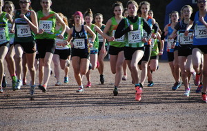 Laval Pré France de Cross 05 02 2017