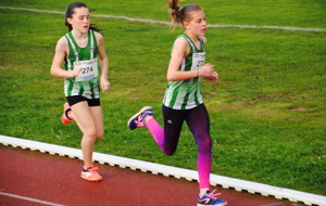 Chateau  Renault Meeting 1/2 Fond 13 04 2018