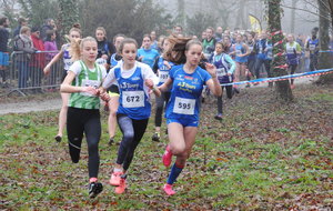 Chateau Renault Cross 16 12 2018