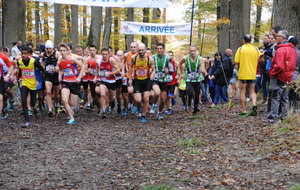 Cross Bian Rosa Blois 11 11 2019