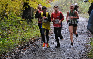 Blois Bian Rosa 11 11 2019