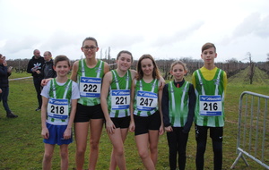 Chinon Cross 15 12 2019