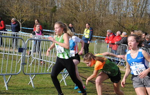 Avord PF Cross 16 02 2020