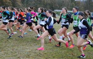 Vineuil Cross 27 11 2021