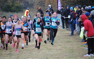 Château Renault Cross 18 12 2022