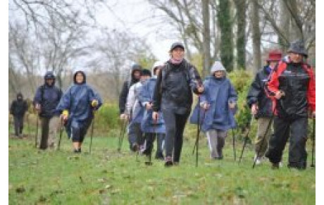 Marche Nordique du 14 11 2010 