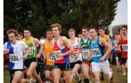 France  Cross 27 02 2011  Résultats