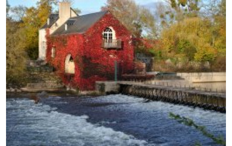 PREVISION DES PROCHAINES SORTIES