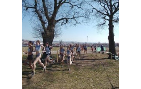 France de cross 2013 à Lignières.
