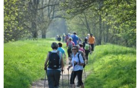 Marche Nordique   Dimanche 2 Octobre à Nitray