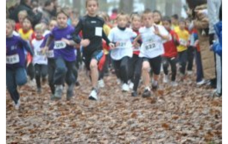 Cross de BLOIS le 11 Novembre