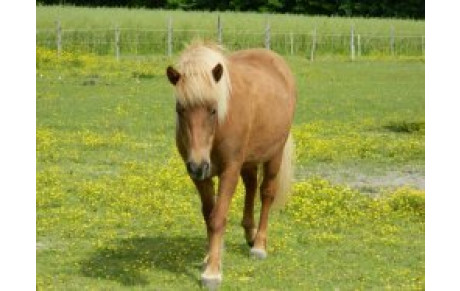 Marche Nordique: Les Hermittes 28 05 2012