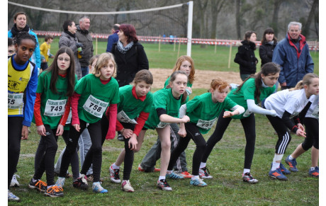 Bilan des athlètes de l'A A A  en   2013