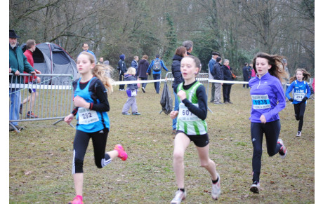 Les Départementaux de Cross du 12 01 2014 dans la  NR