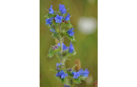 France Elite 13 07 2014