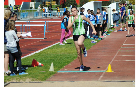 Catégories d'age pour 2016