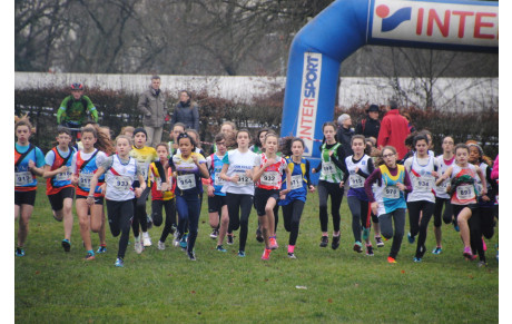 Intercomités de cross: Organisation