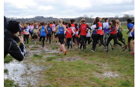 Inter comités de cross 27 02 2016