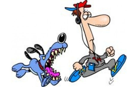 Château Renault Cross 18 12 2016