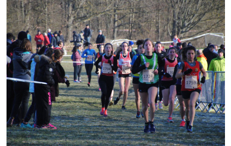 Orléans Rég. Cross 22 01 2017 dans les Médias