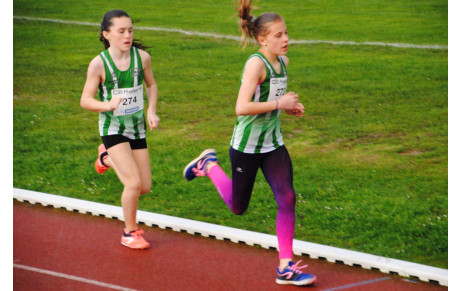 Chateau  Renault Meeting 1/2 Fond 13 04 2018