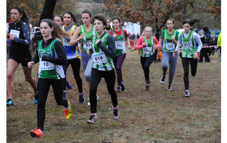Cross Amboise 04 11 2018