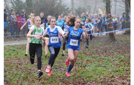 Chateau Renault Cross 16 12 2018