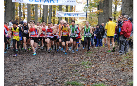 Cross Bian Rosa Blois 11 11 2019