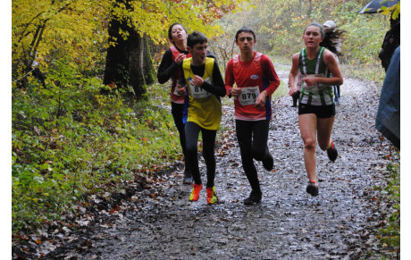 Blois Bian Rosa 11 11 2019