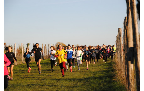 Candé UNSS + WE 01 12 19 + Mise à jour