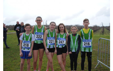 Chinon Cross 15 12 2019