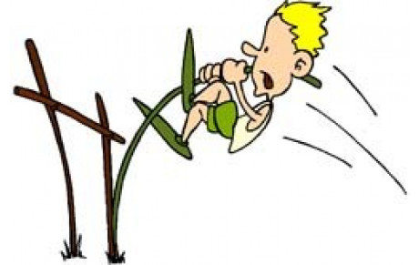 Anim'Athlé Avoine 18 06 2022