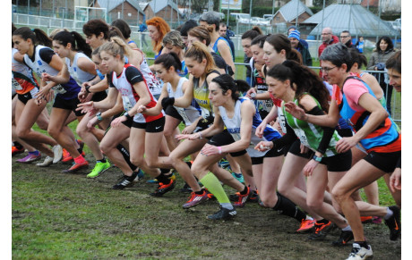 Cross Amboise 06 11 2022