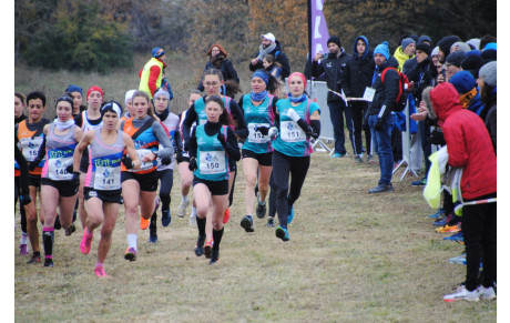 Château Renault Cross 18 12 2022