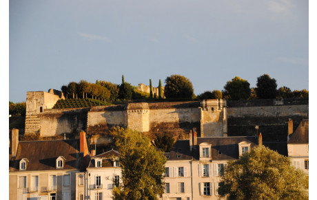 La Ronde Solidaire des Vignerons d'Ambboise