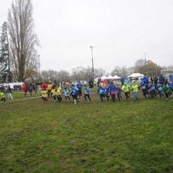 🔥 À vos pointes ! Le Cross Touraine voit grand : championnats départementaux de cross court et régionaux de relais à Amboise ! 🏆